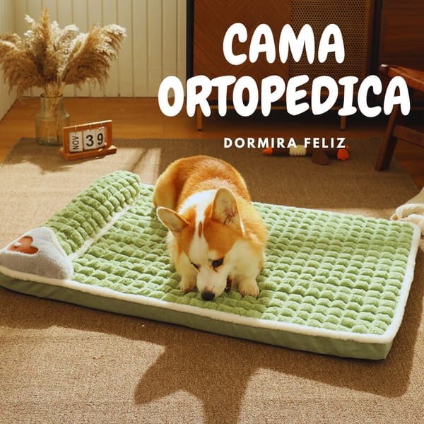 Cama Ortopedica - Dormira Feliz